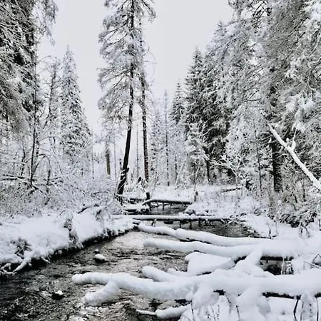 Exklusive 82 Qm Loftwohnung Mit Tiefgarage Und Süd-balkon Zentral *