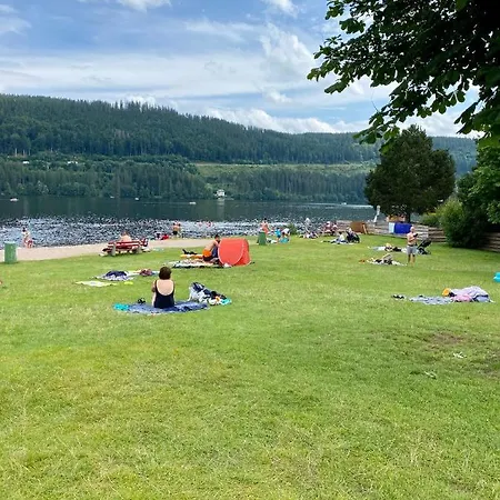 Exklusive 82 Qm Loftwohnung Mit Tiefgarage Und Süd-balkon Zentral * Titisee-Neustadt