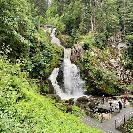 Exklusive 82 Qm Loftwohnung Mit Tiefgarage Und Süd-balkon Zentral Titisee-Neustadt