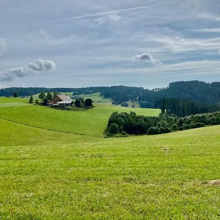 Exklusive 82 Qm Loftwohnung Mit Tiefgarage Und Sued-balkon Zentral Titisee-Neustadt