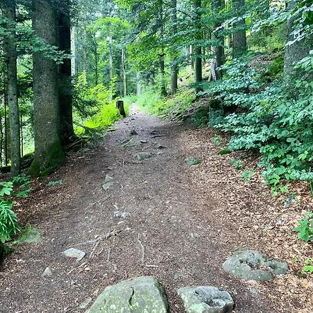 Apartamento Exklusive 82 Qm Loftwohnung Mit Tiefgarage Und Süd-balkon Zentral *