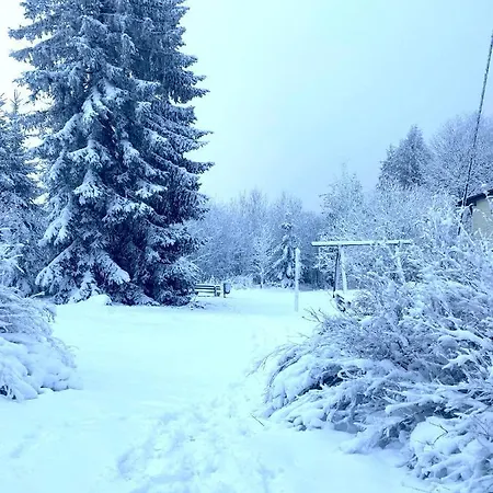 Apartamento Exklusive 82 Qm Loftwohnung Mit Tiefgarage Und Süd-balkon Zentral Titisee-Neustadt