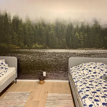 Lejlighed Exklusive 82 Qm Loftwohnung Mit Tiefgarage Und Sued-balkon Zentral Titisee-Neustadt