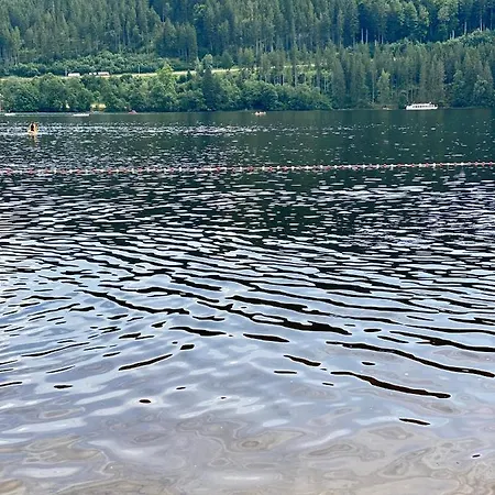 Exklusive 82 Qm Loftwohnung Mit Tiefgarage Und Süd-balkon Zentral Titisee-Neustadt