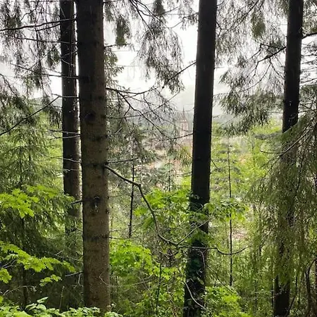 Apartamento Exklusive 82 Qm Loftwohnung Mit Tiefgarage Und Süd-balkon Zentral *