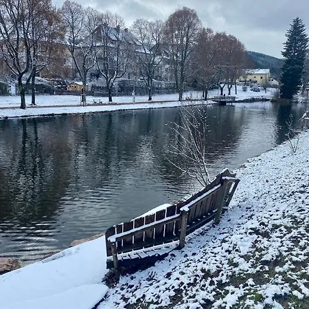 Apartamento Exklusive 82 Qm Loftwohnung Mit Tiefgarage Und Süd-balkon Zentral Titisee-Neustadt