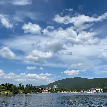 Exklusive 82 Qm Loftwohnung Mit Tiefgarage Und Süd-balkon Zentral * Titisee-Neustadt