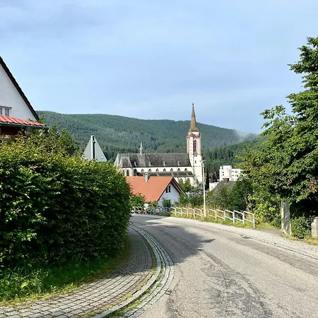 Exklusive 82 Qm Loftwohnung Mit Tiefgarage Und Süd-balkon Zentral Apartamento Titisee-Neustadt