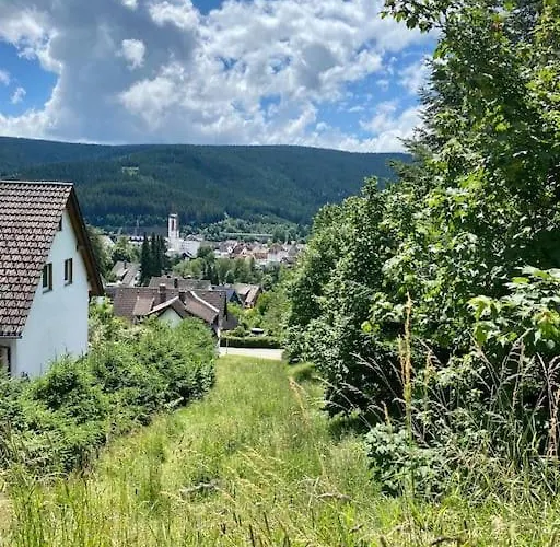 شقة Exklusive 82 Qm Loftwohnung Mit Tiefgarage Und Sued-balkon Zentral *