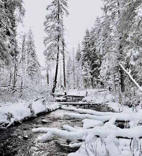Exklusive 82 Qm Loftwohnung Mit Tiefgarage Und Sued-balkon Zentral *