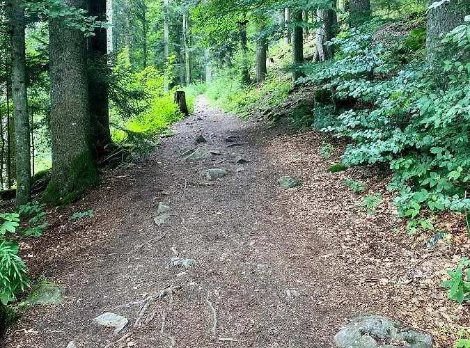 شقة Exklusive 82 Qm Loftwohnung Mit Tiefgarage Und Sued-balkon Zentral *