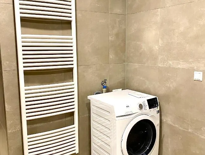 Exklusive 82 Qm Loftwohnung Mit Tiefgarage Und Sued-balkon Zentral