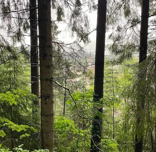 شقة Exklusive 82 Qm Loftwohnung Mit Tiefgarage Und Sued-balkon Zentral *